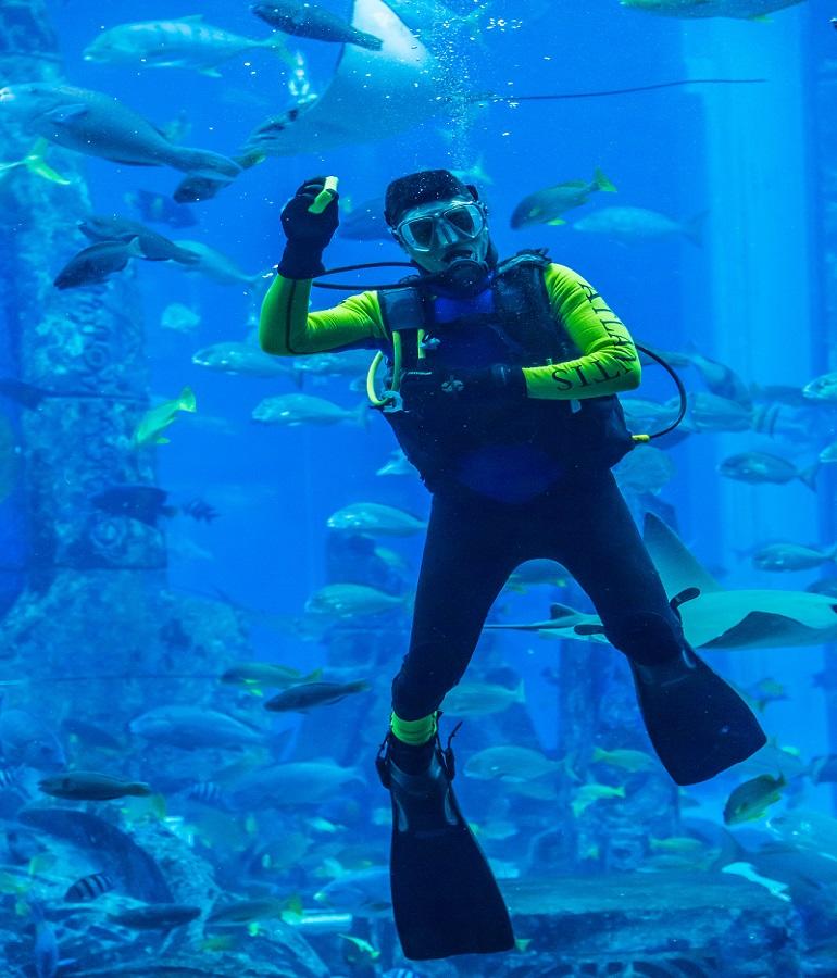 Witness Most Beautiful Underwater World Scuba Diving in Dubai TATA Capital Blog