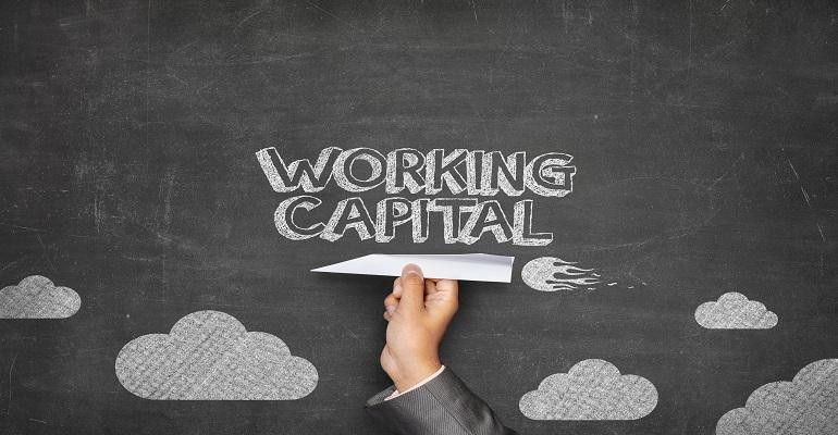Which type of companies are eligible to get a Working Capital Loan