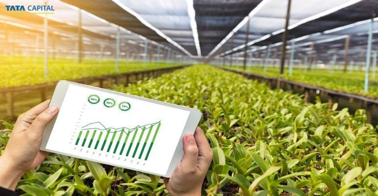 10 Profitable Agricultural Business Ideas for Farmers and Entrepreneurs