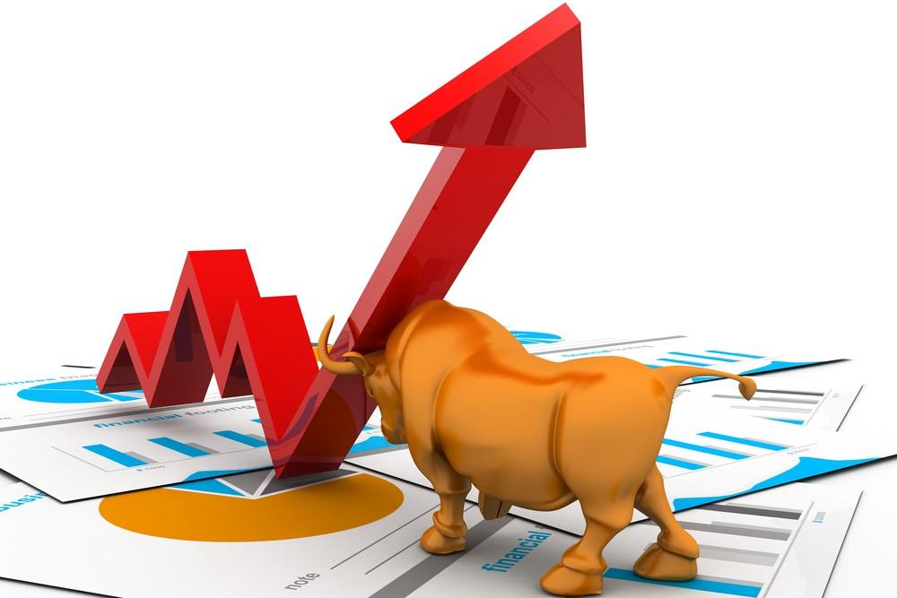 What is Bull Market – Definition and Causes of Bullish Market