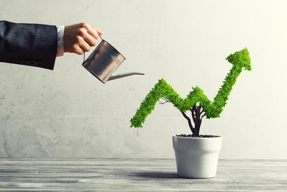 What are Growth Stocks? All You Need to Know