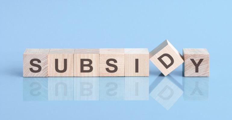What is Subsidy: Meaning, Types, Categories and Business Schemes