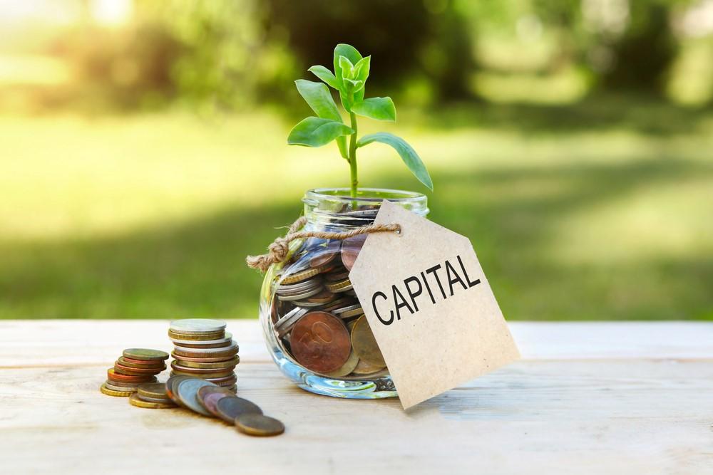 What Is Capital In Business: Understanding Its Workings, Types, and More