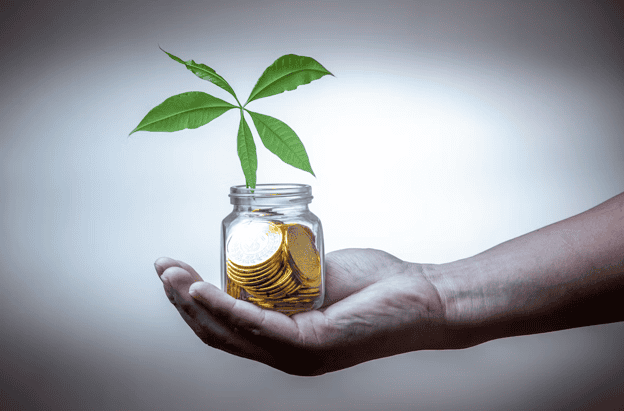 What is an Equity Mutual Fund? Types and How It Works