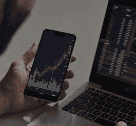 Investor Information